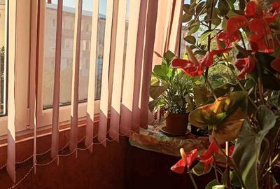 Apartament cu 3 camere decomandat în Central - 10