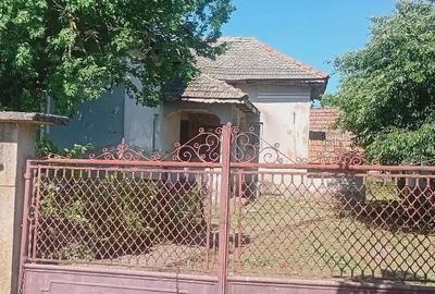 Casă cu 5 camere cu Teren 1600 Mp în Afumați - 4
