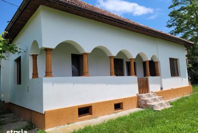 Casă cu 3 camere cu Teren 1100 Mp în Mihăești - 1