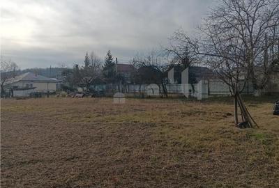 Teren de 3500 mp, în Bârnova - 2