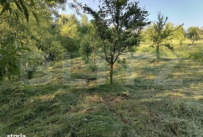 Spațiu comercial, în Gemenea-Brătulești