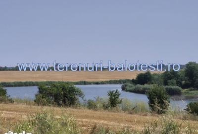 Teren de 600 mp, în Balotești