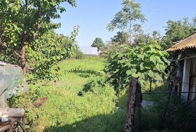Casă cu Teren 1300 Mp în Bragadiru - 5