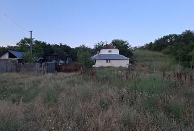Casă cu Teren 3500 Mp în Rădești