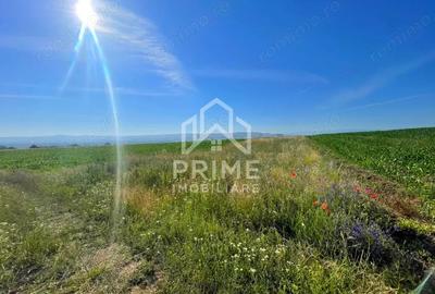 Teren de 2700 mp, în Pâclișa - 1