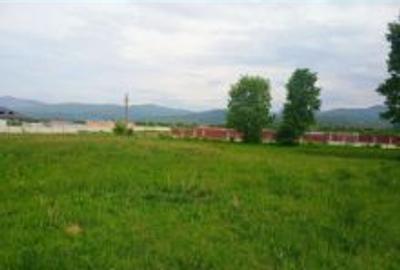 Teren Construcții intravilan de 1327 mp, în Cărpiniș - 5