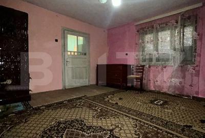 Casă cu 2 camere cu Teren 2300 Mp în Cășeiu - 3