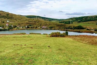Teren de 9959 mp, în Chinteni