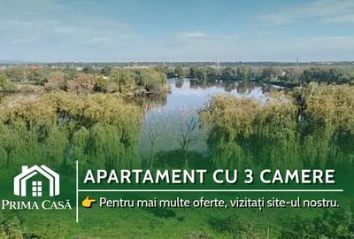 Apartament cu 3 camere în Broșteni