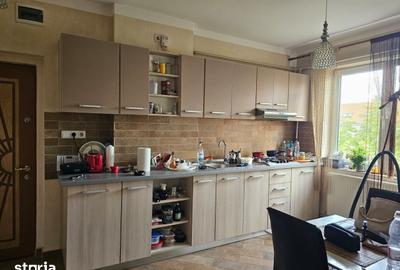 Apartament cu 2 camere în Burdea - 9