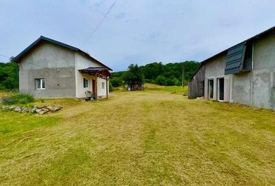 Casă cu 2 camere cu Teren 10199 Mp în Cotmeana