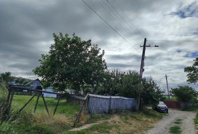 Casă cu 3 camere cu Teren 3600 Mp în Lunca