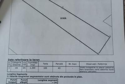 Spațiu comercial, în Tămădău Mare