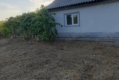Casă cu 3 camere cu Teren 2069 Mp în Dor Mărunt - 2