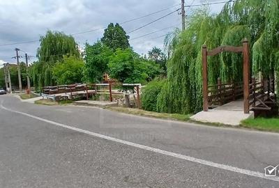 Casă cu 1 camere cu Teren 1315 Mp în Mănăstireni