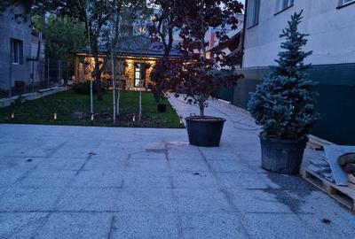 Casă cu 3 camere cu Teren 554 Mp în Frumoasa - 5