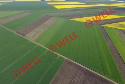 Teren extravilan de 68800 mp, în Sântionlunca - 2