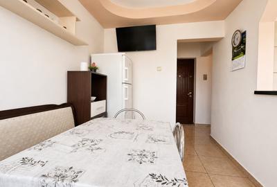 Apartament cu 3 camere decomandat în Dacia - 6