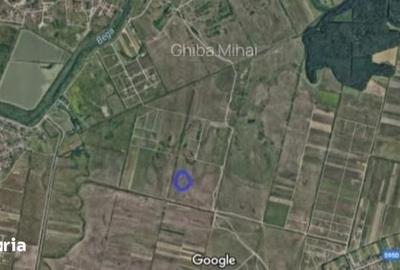 Teren de 752 mp, în Moșnița Nouă
