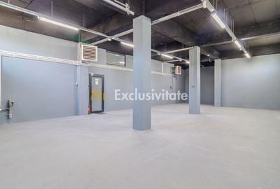 Spațiu industrial, de 306 mp, în Doamna Ghica