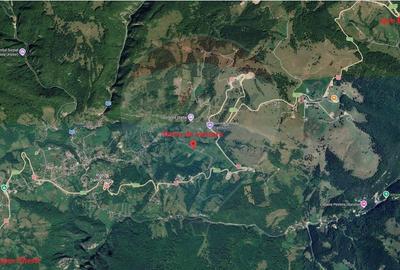 Teren Construcții intravilan de 2058 mp, în Dâmbovicioara - 10