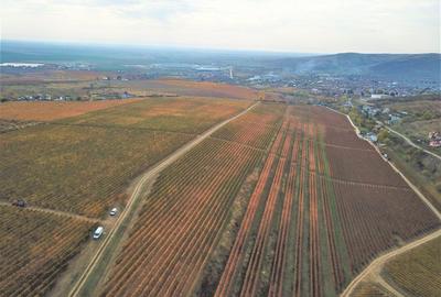 Proprietate specială, de 590,000 mp, în Est - 2