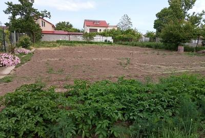 Casă individuală cu 4 camere cu Canalizare în Palazu Mare - 1