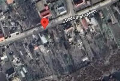 Casă cu 3 camere cu Teren 1066 Mp în Petrăchioaia - 4