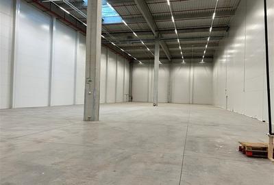 Spațiu industrial, de 3,500 mp, în Florești - 3