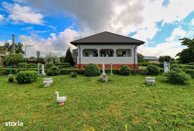 Casă cu 4 camere cu Teren 7049 Mp în Puchenii Mari - 9