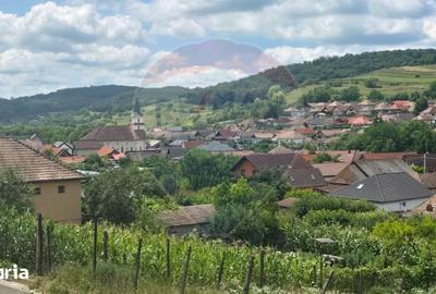 Teren de 1103 mp, în Terezian