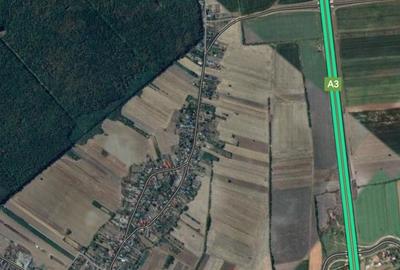 Teren de 4425 mp, în Lipia - 10
