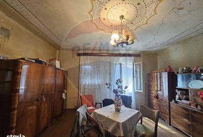 Casă cu 5 camere cu Teren 4484 Mp în Balinț - 15