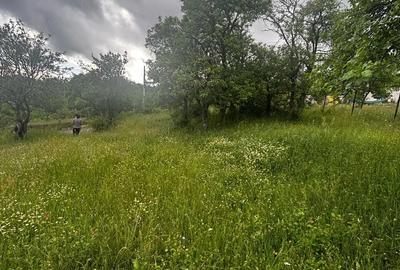 Teren de 30 mp, în Preluca Veche - 10
