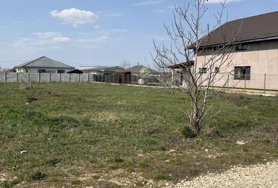 Teren de 1000 mp, în Sântandrei - 2