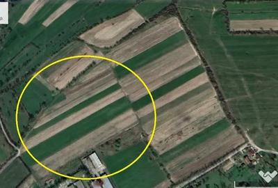 Teren de 1300 mp, în Dumbrăvița - 2