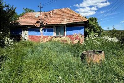 Casă cu 1 camere cu Teren 500 Mp în Straja (Cojocna) - 1