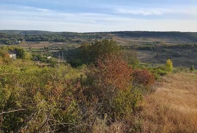 Teren de 4000 mp, în Agafton - 1