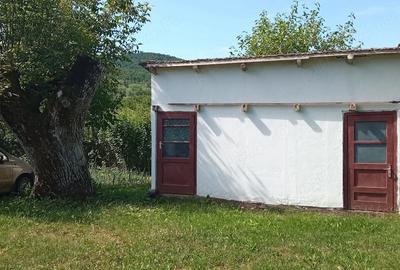 Casă cu 2 camere cu Teren 2500 Mp în Lalașinț