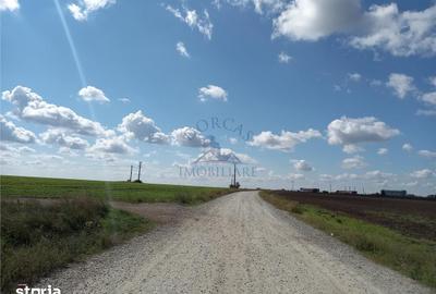Teren de 20000 mp, în Pielești - 4