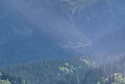 Teren de 10000 mp, în Bran - 6