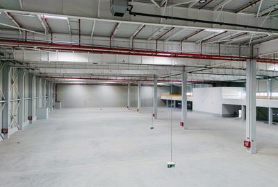 Spațiu industrial, de 9,900 mp, în Dragomirești-Deal - 3