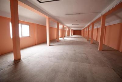 Spațiu industrial, de 400 mp, în Letea - 8