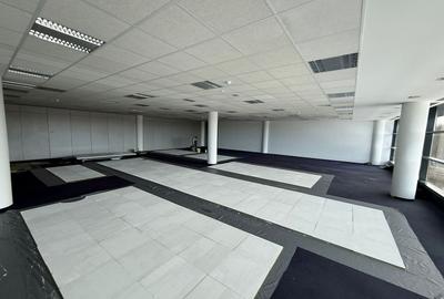 Birou, de 300 mp, în Băneasa - 1