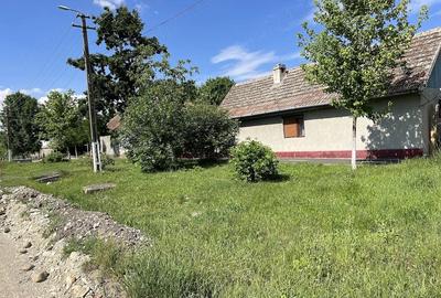 Casă cu 4 camere cu Teren 1094 Mp în Moravița - 2