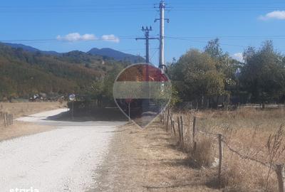 Teren de 7150 mp, în Sud