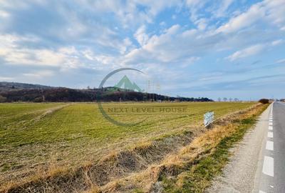 Teren agricol extravilan de 6288 mp, în Râșnov - 2
