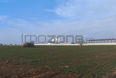 Teren Construcții intravilan de 31200 mp, în Dragomirești-Deal - 3