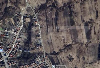 Teren de 4400 mp, în Chinteni