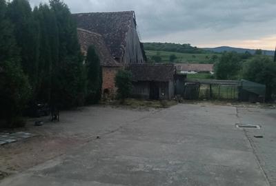 Casă cu Teren 1439 Mp în Saschiz - 5